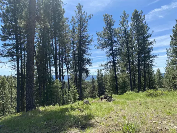 New Meadows, ID 83654,TBD Campbell Road