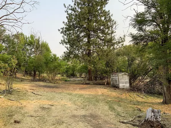 Indian Valley, ID 83632,TBD - 1071 Hwy 95