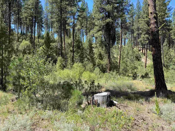 Idaho City, ID 83631-9999,Lot 12 Shaw Gulch Road