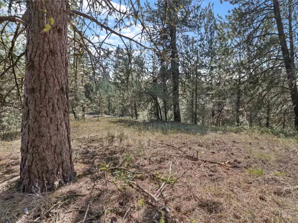 Banks, ID 83602,TBD Cruickshank Rd.