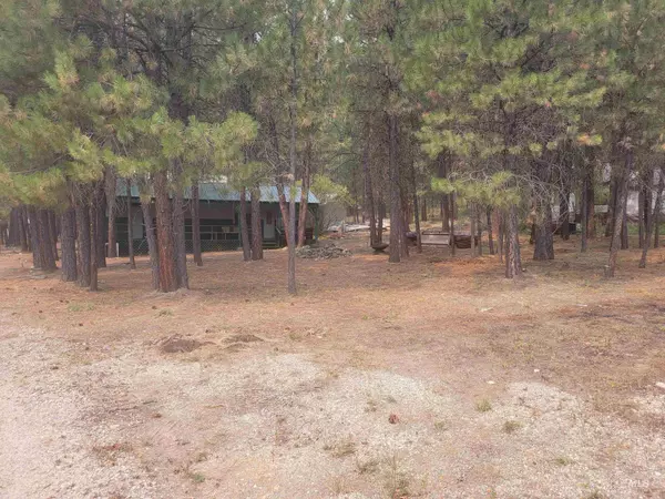 Lowman, ID 83637,22 Lantz Way