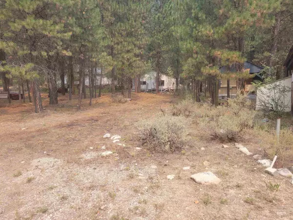 Lowman, ID 83637,22 Lantz Way