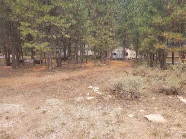 Lowman, ID 83637,22 Lantz Way