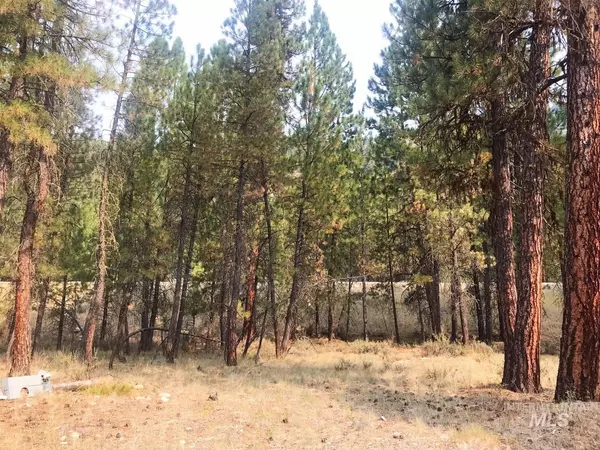 Lowman, ID 83637,Lot 15 Scenic Circle