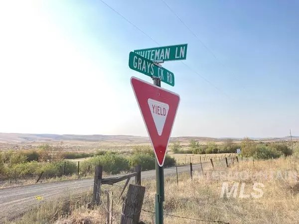 Indian Valley, ID 83632,0 Whiteman