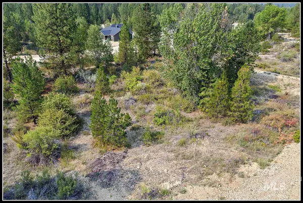 Idaho City, ID 83631,Lot 63 Mores Creek Dr