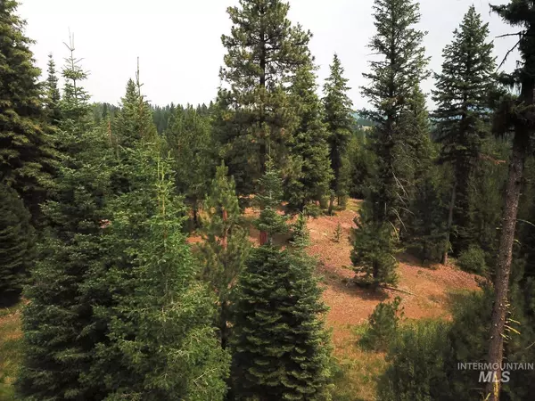 Cascade, ID 83611,TBD/ LOT 31 Price Loop