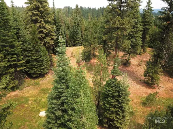 Cascade, ID 83611,TBD/ LOT 31 Price Loop