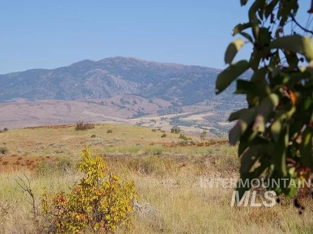 TBD Cuddy View Drive, Council, ID 83612