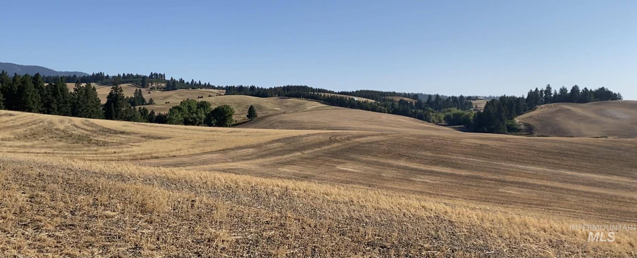 Moscow, ID 83843,TBD Reams Rd