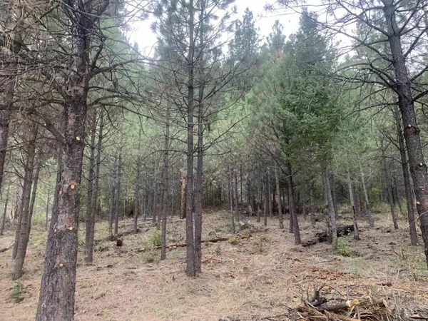 Lowman, ID 83637,Lot 4 Plateau Ct.