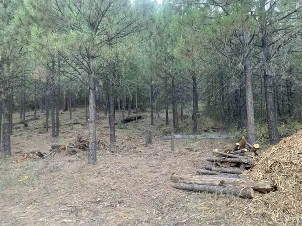 Lowman, ID 83637,Lot 4 Plateau Ct.