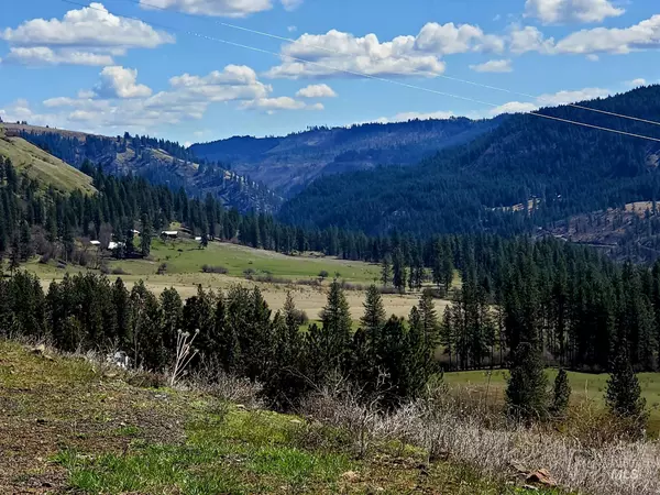 Orofino, ID 83544,1990 Crow Bench