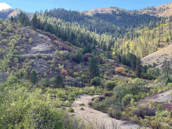 151 Hammer Creek Rd, White Bird, ID 83554