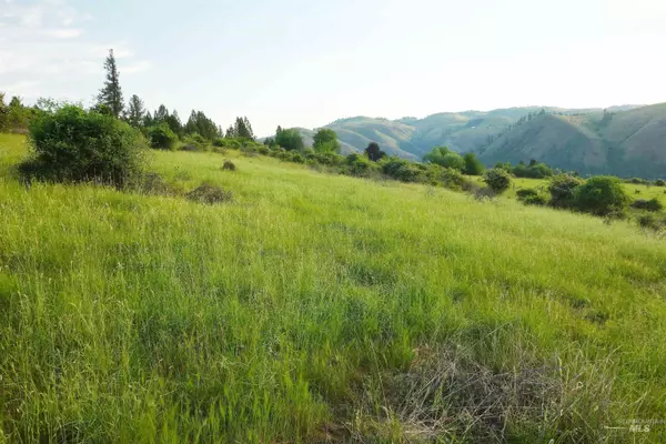 Kooskia, ID 83539,TBD Orchard Lane Parcel 1 And 2