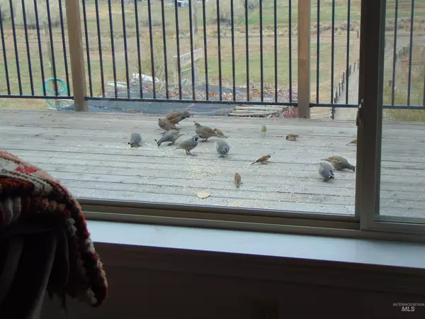 Harper, OR 97906,2912 Crowley Rd.