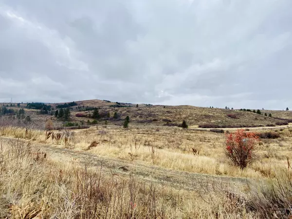 Cambridge, ID 83610,Lot 2 Brownlee Summit Estates