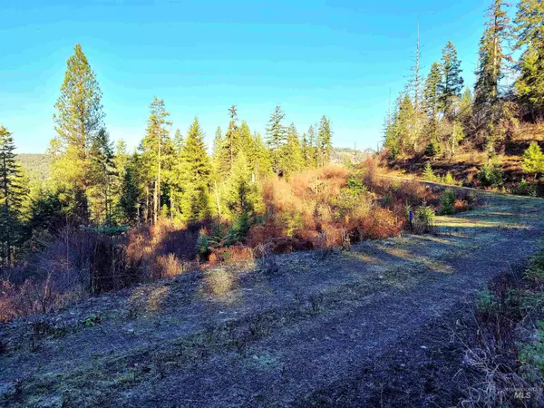 Orofino, ID 83544,319 White Pine Drive