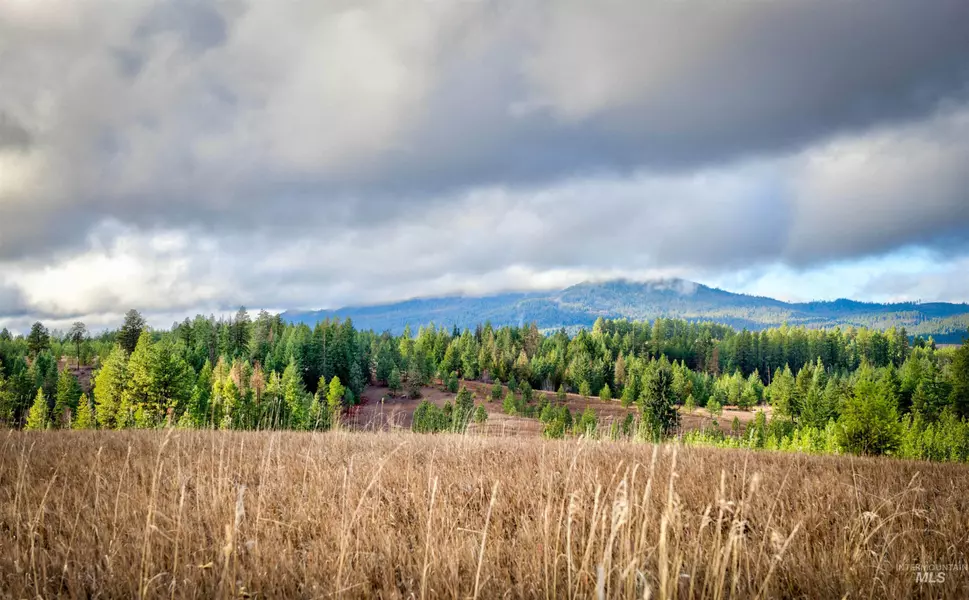 000 Orchard Loop, Troy, ID 83871