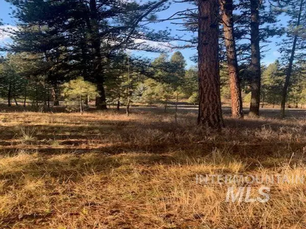 New Meadows, ID 83654,TBD Lot 10 Block 23 Meadowridge Estates