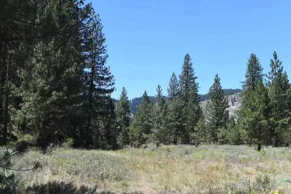 Featherville, ID 83647,TBD Abbot's Rd.