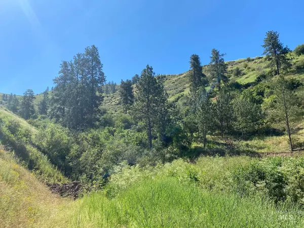 Juliaetta, ID 83535,TBD Ridge Lane