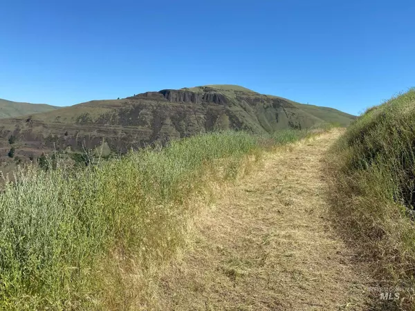 Juliaetta, ID 83535,TBD Ridge Lane