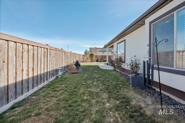 Star, ID 83669,9776 Achillea