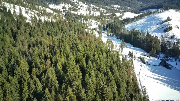 St. Maries, ID 83861-8386,NNA Abbey Rd