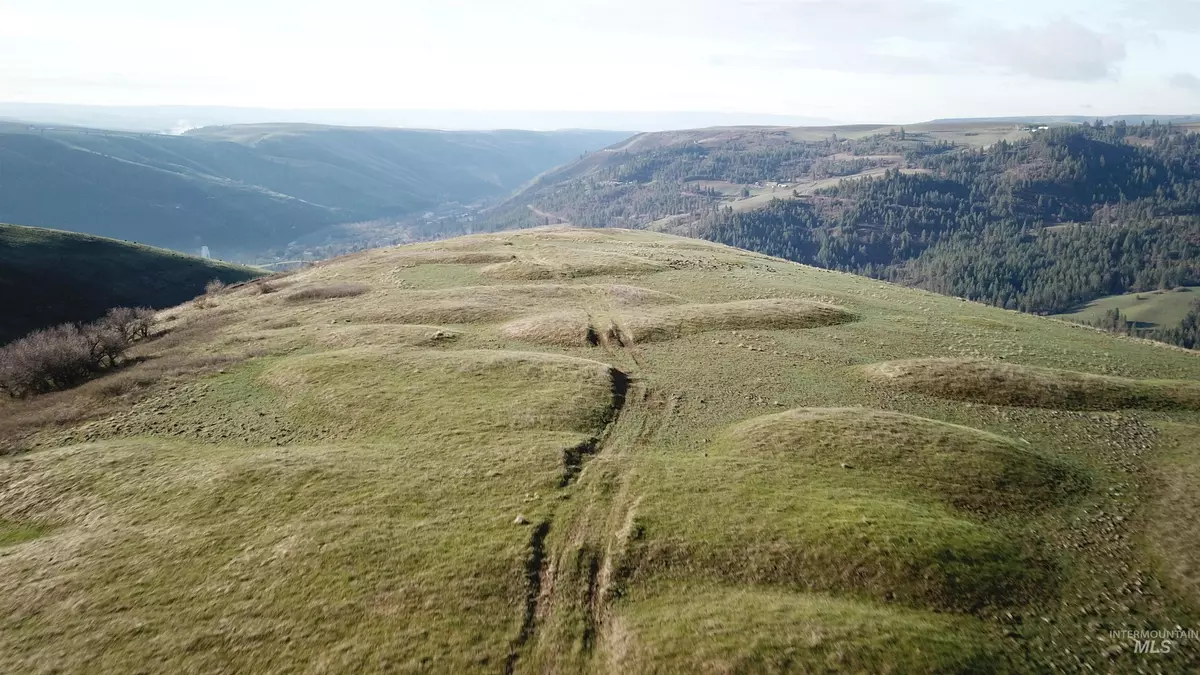 Juliaetta, ID 83535,000 American Ridge Road