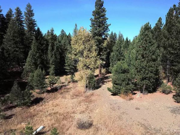 Cascade, ID 83611,TBD/ Lot 44 Price Loop