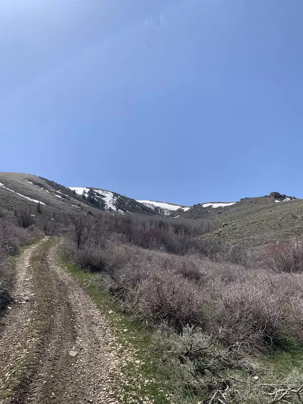 Albion, ID 83311,1100 E 1280 S