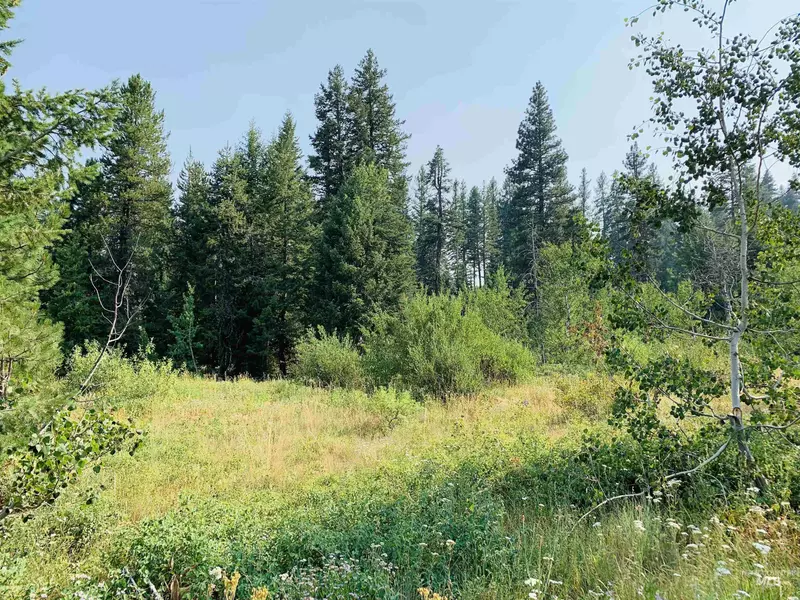 lot 5 Majestic View Dr, Mccall, ID 83638