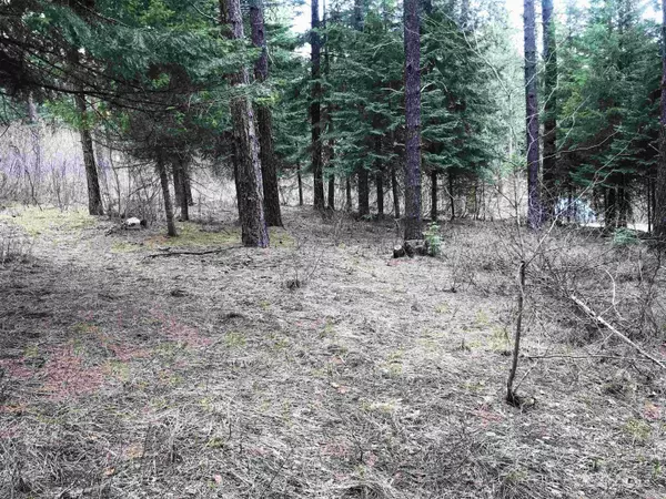 TBD Deer Trail (Lot 20), Garden Valley, ID 83622