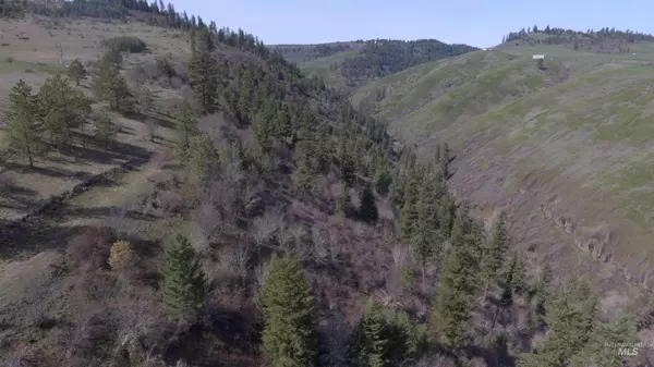 Stites, ID 83522,TBD Lukes Gulch Rd