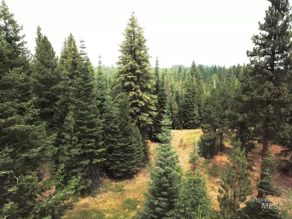 TBD/ LOT 10 Price Loop, Cascade, ID 83611