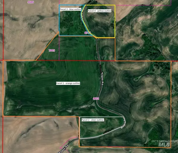 Genesee, ID 83832,NKA Magee Road Parcel 4