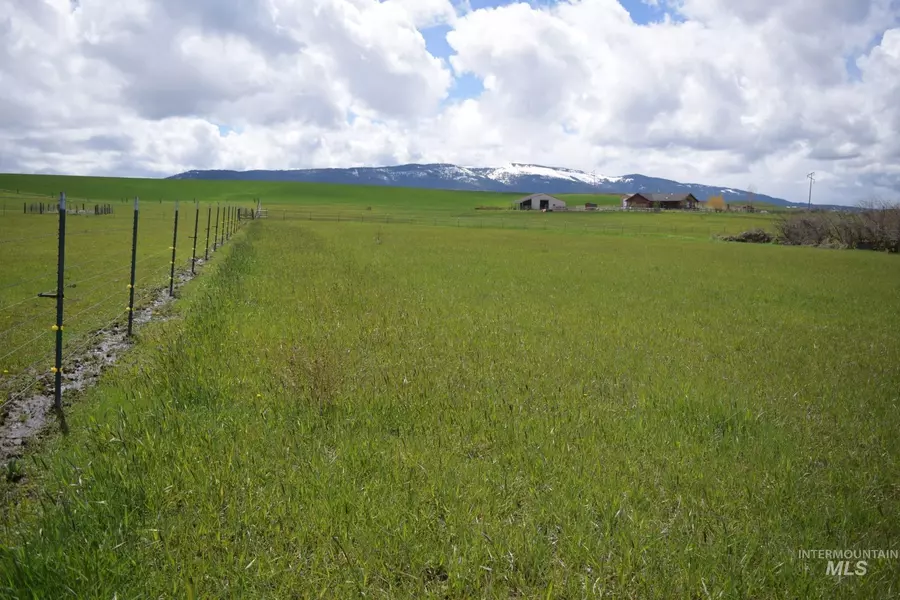 Soltman Road, Grangeville, ID 83530