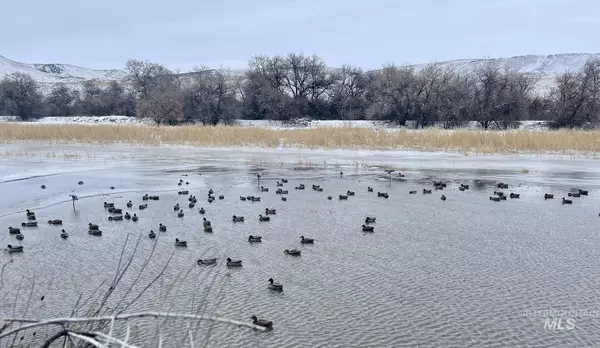 Hammett, ID 83627,899 S Nanny Berry Way