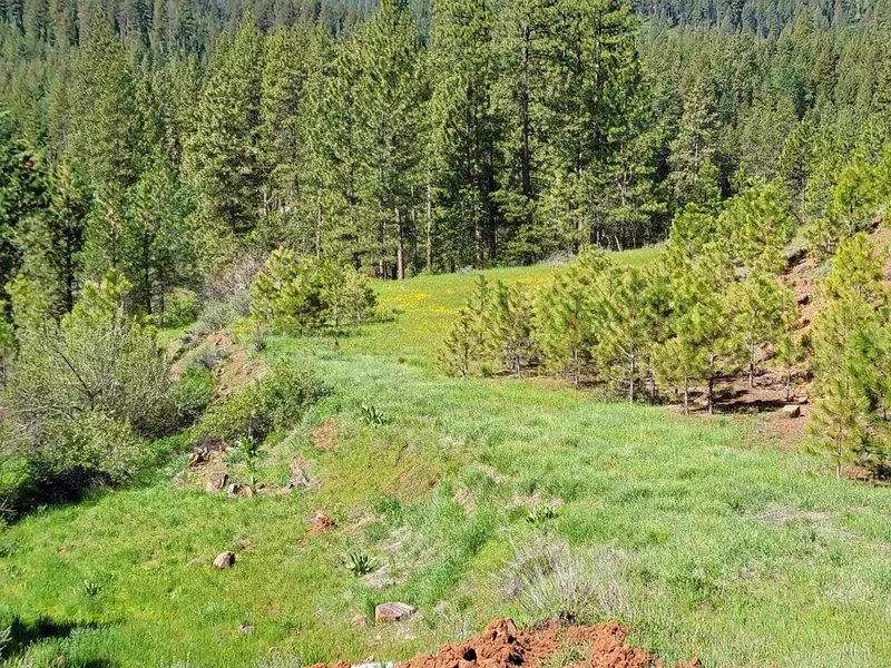 1872 Pole Creek, Council, ID 83612