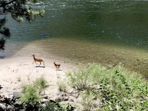Lucile, ID 83542,150 Cow Creek Road