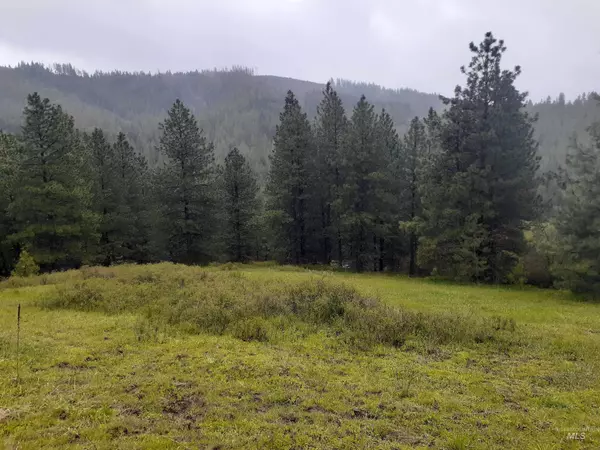 Potlatch, ID 83855,1106 Carscallen Road