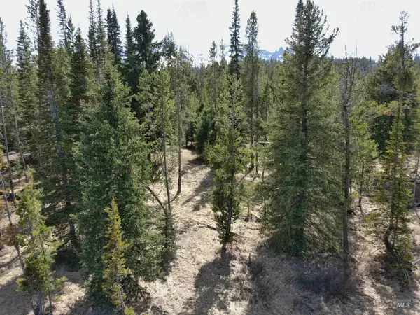 Stanley, ID 83278,TBD Alturas Way