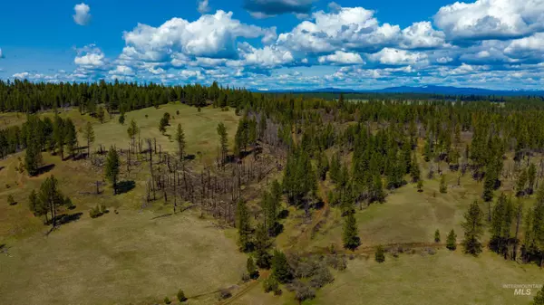 Weippe, ID 83553,NKA 20acs Hidden Valley Ln, Lot 2