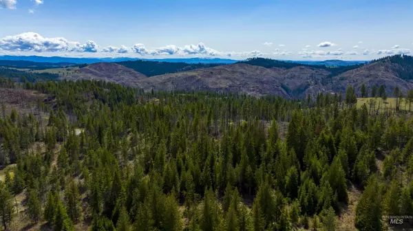 Weippe, ID 83553,NKA 20acs Hidden Valley Ln, Lot 3