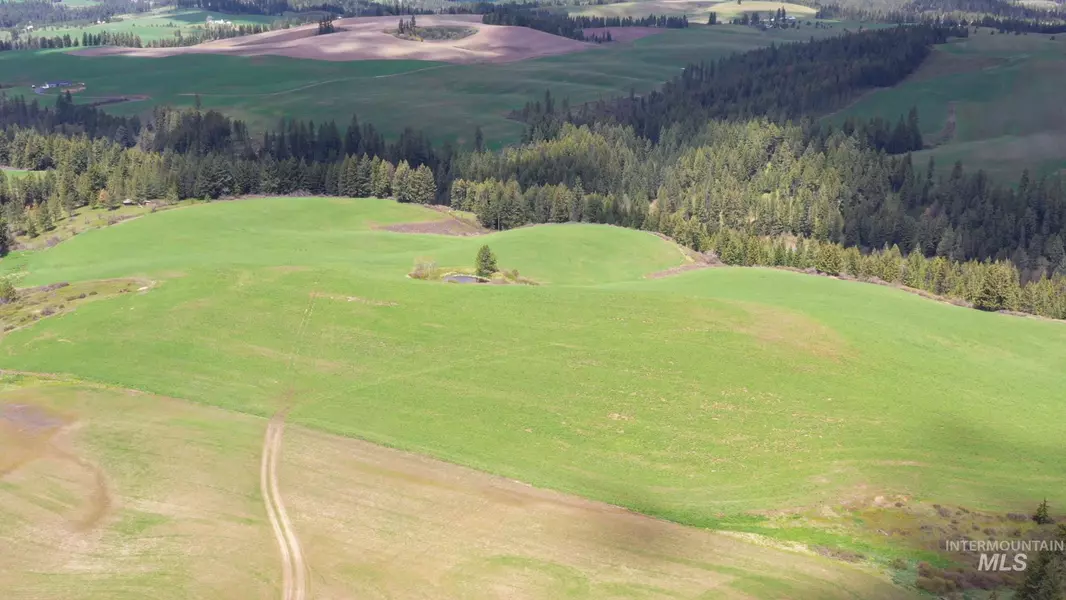 TBD Camps Canyon Rd, Troy, ID 83871