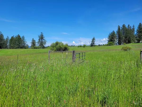 Kooskia, ID 83539,180 Williams Road