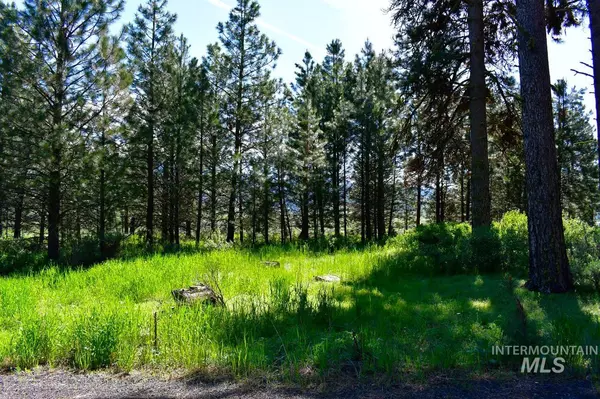 New Meadows, ID 83654,TBD Vardon Road