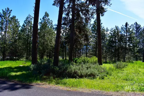 New Meadows, ID 83654,TBD Vardon Road