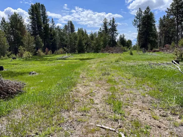 Mccall, ID 83638,13480 & TBD Gunsmoke Road